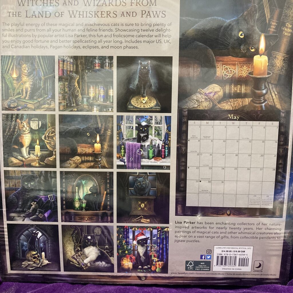 Magical Mystical Cats Calendar Into the Mystic Shop