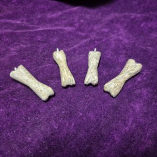 Fossilized Dinosaur Bone Pendant