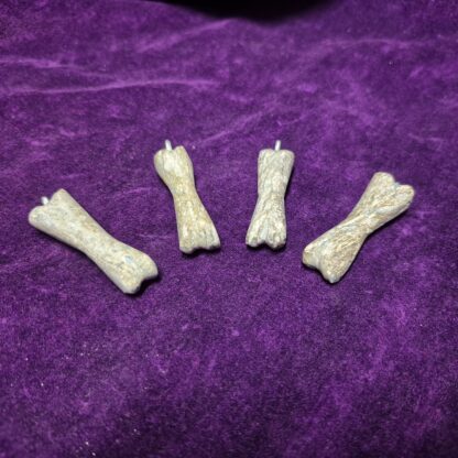 Fossilized Dinosaur Bone Pendant