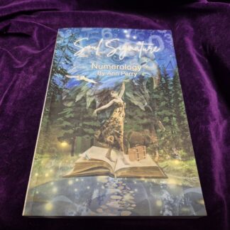 Soul Signature Numerology by Ann Perry